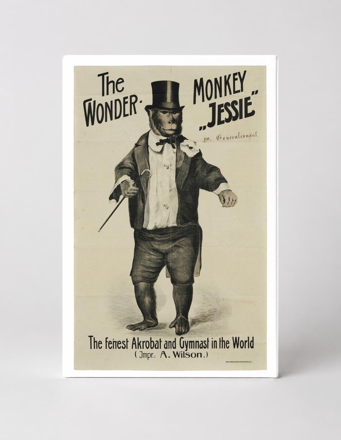The Wonder Monkey Jessie 1890s - Victorian Circus Vintage Poster Wall Art