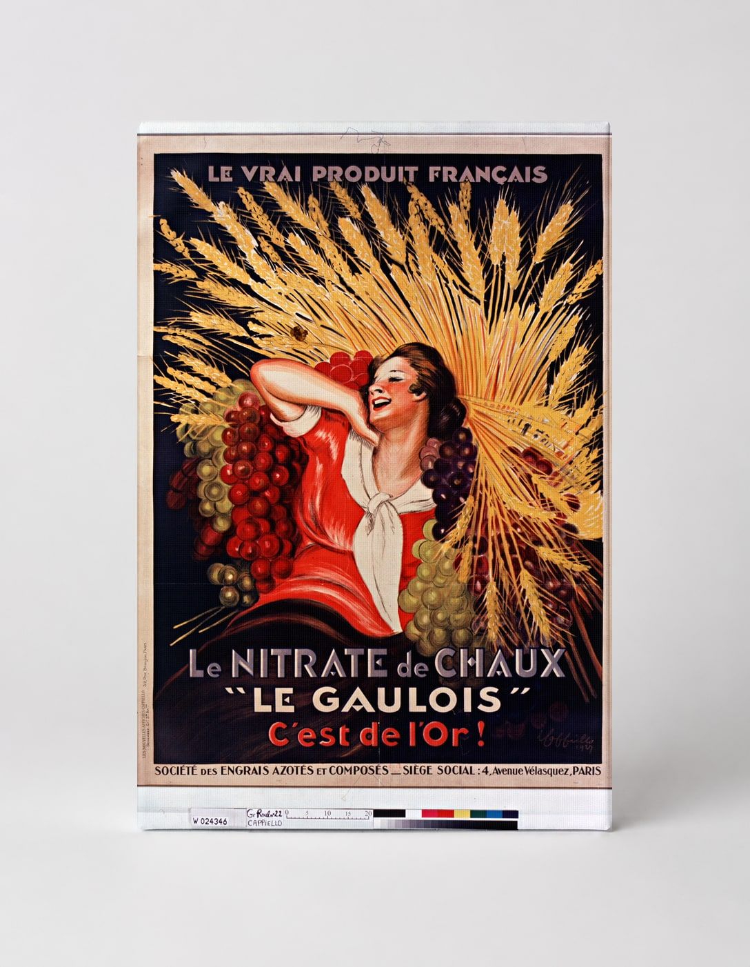 Le Nitrate de Chaux Le Gaulois 1920s - French Vintage Advertising Poster Wall Art