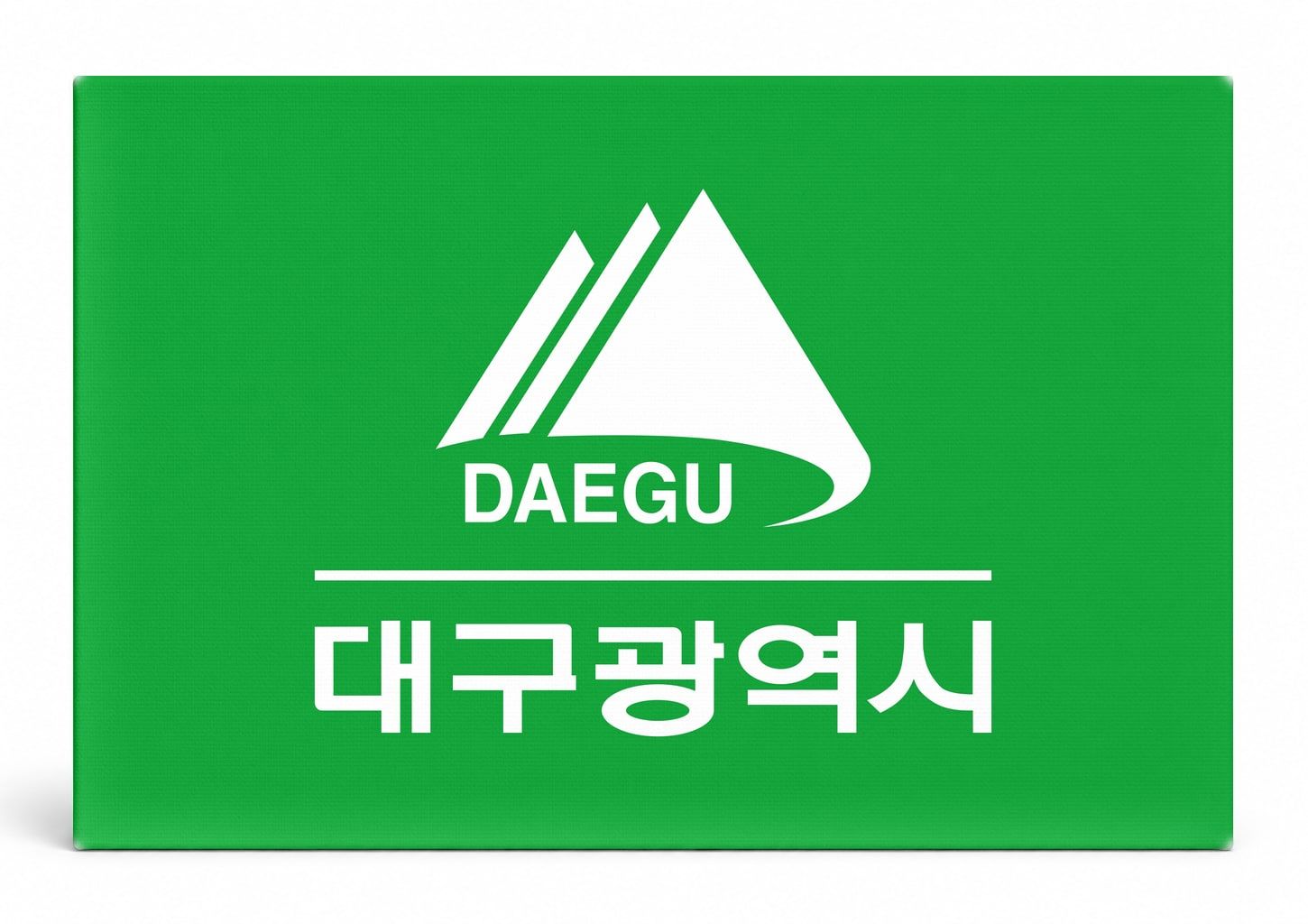 Daegu City Flag