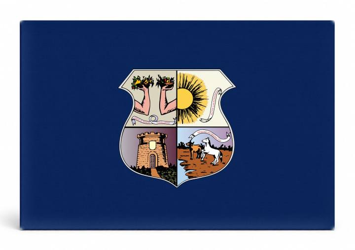 Belém City Flag