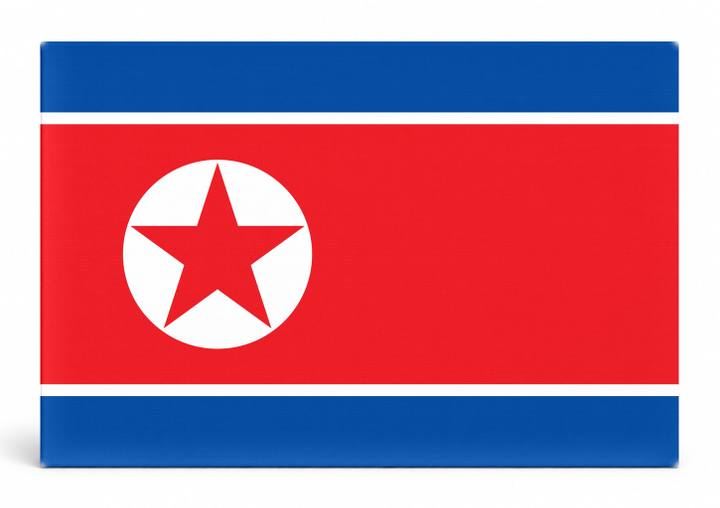 North Korea Flag